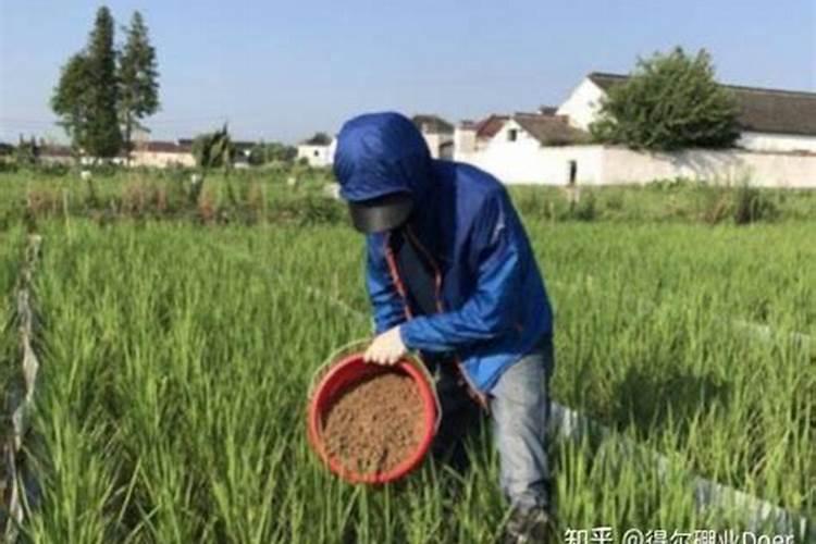 亚麻高产种植四大要点介绍!