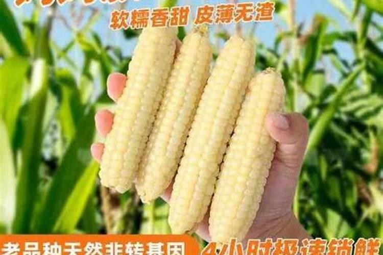 红四方玉米专用复合肥多少钱一吨？