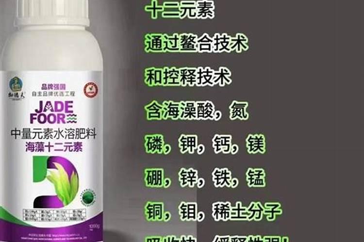 玫瑰花花肥制作与使用方法