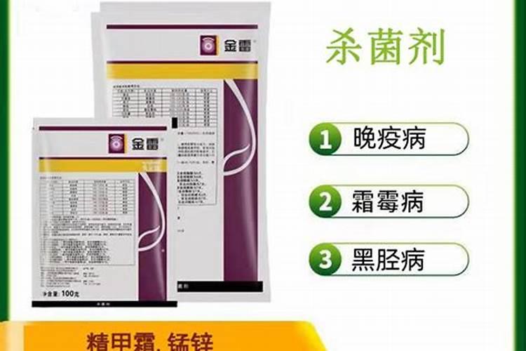 种菜最实用的肥料,是先下肥料还是先下种子