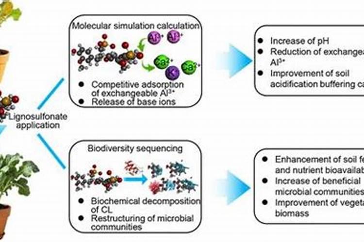 木质素磺酸钙的主要应用