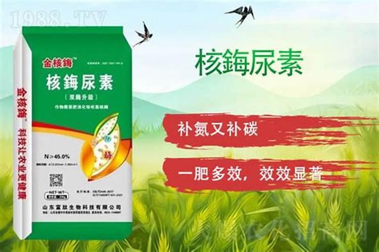 为什么要推广长效氮肥？目前长效氮肥有哪些类型？