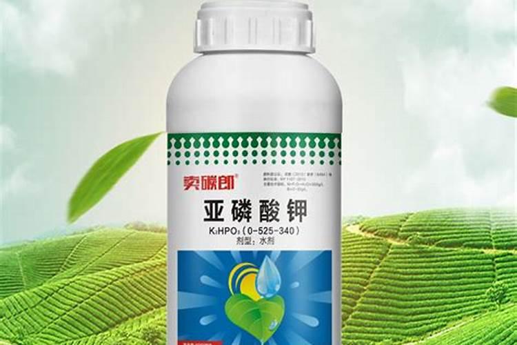 科迪华易保能和春雷喹啉铜复配吗