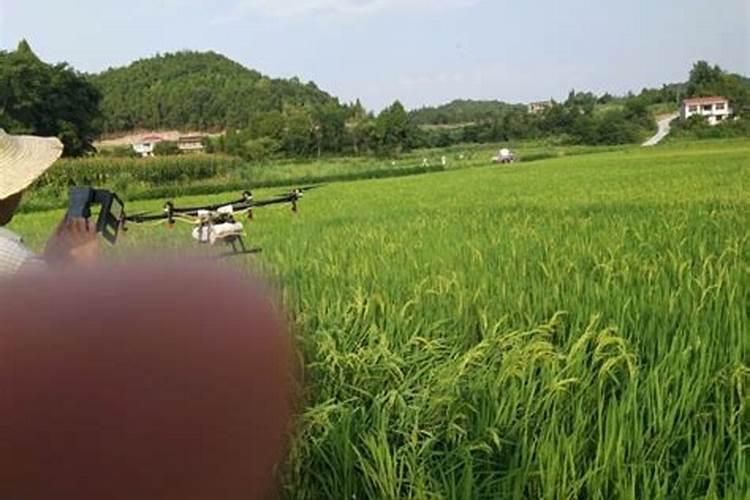 什么是大量元素、中量元素、微量元素肥