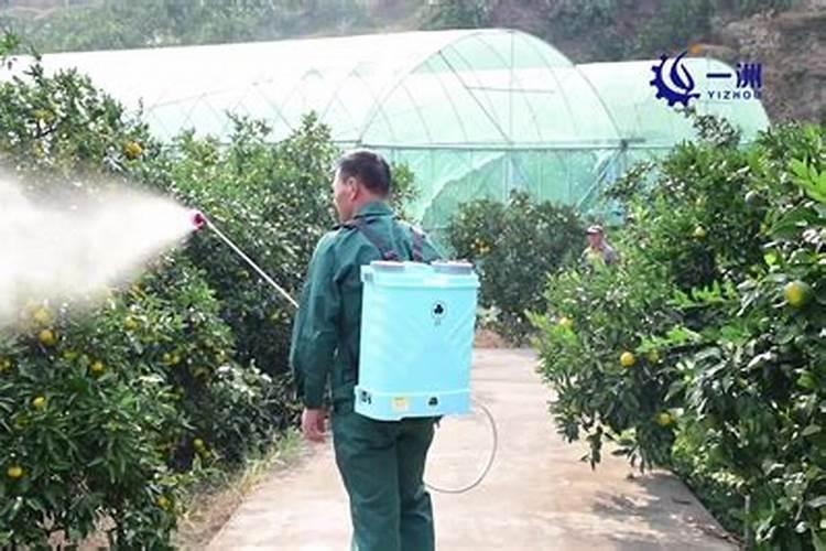 大量元水溶肥和中量元素、微量元素水溶肥的区别？