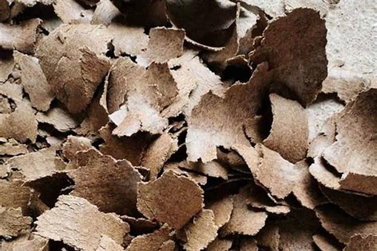 芝麻饼肥和菜籽饼哪个好