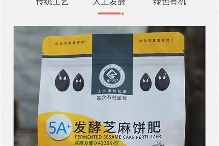 芝麻饼种菜好还是油菜饼种菜好