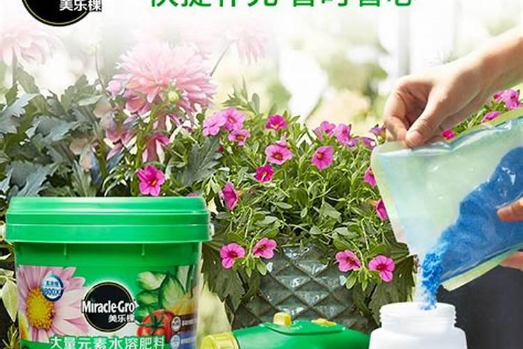 柑橘水溶肥的使用方法？柑橘用什么肥料长得快