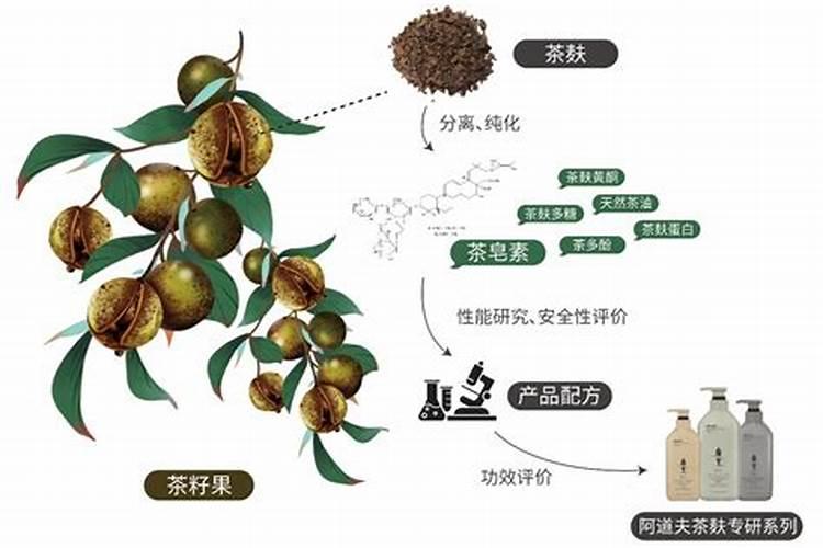 如何对金花茶进行科学的栽培