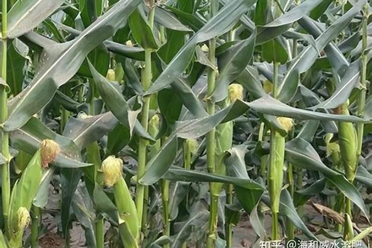 混凝土添加剂一览表