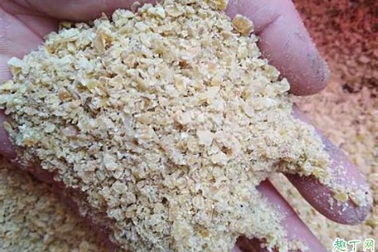 豆饼怎么发酵做肥料最简单的方法