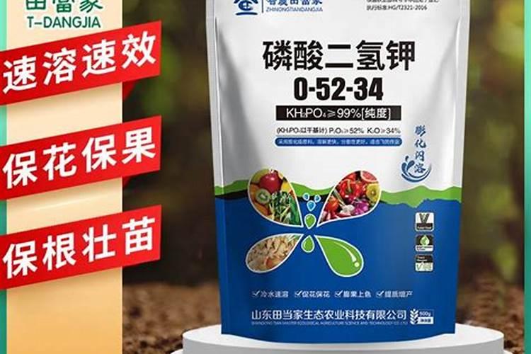 山东潍坊十大名牌叶面肥