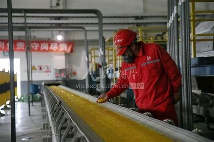 硫磺作为酸性速效肥料的原理是什么