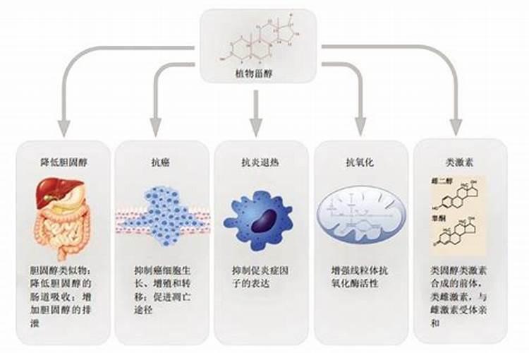 氮肥的品种有哪些？