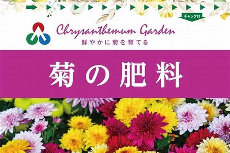 玉米金大棒叶面肥多少钱一瓶