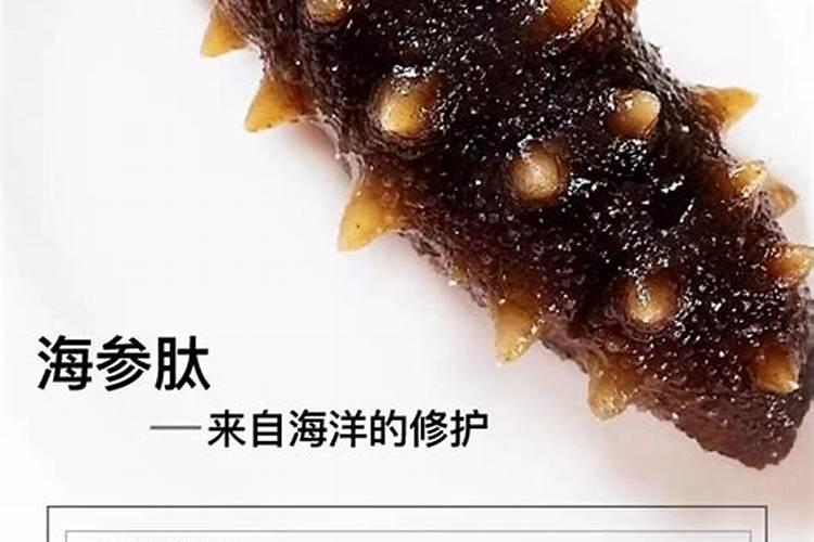 海参斑鱼的营养价值与功效是什么？