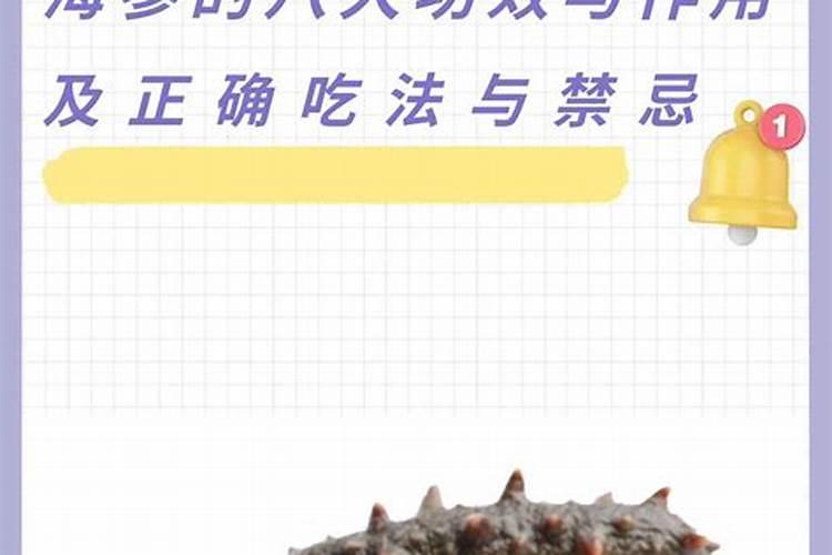 海参斑鱼的营养价值