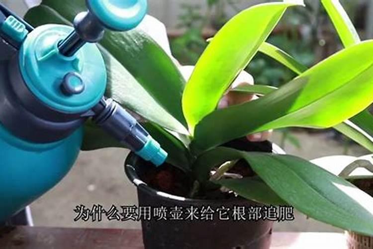 大豆喷硼肥好吗