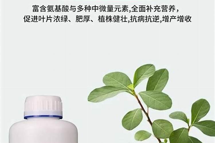 二茬瓜养叶用芸苔素内酯好吗