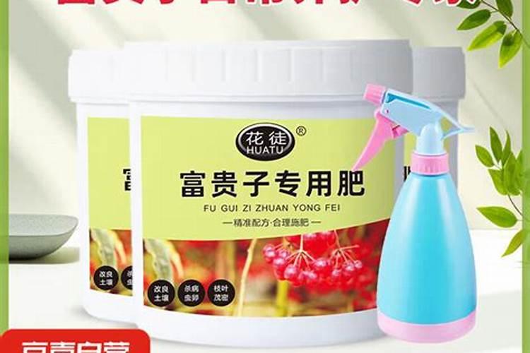 柿子树用什么肥料长得快