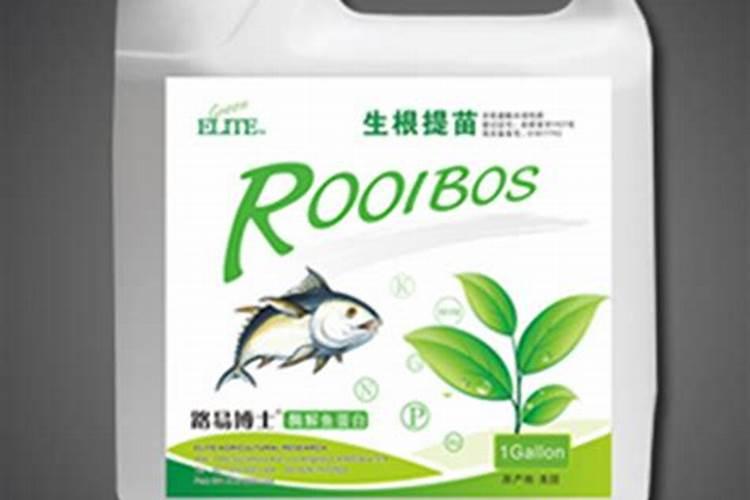 刚移栽的小番茄苗能浇鱼蛋白吗