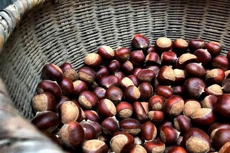 板栗树追什么肥最好