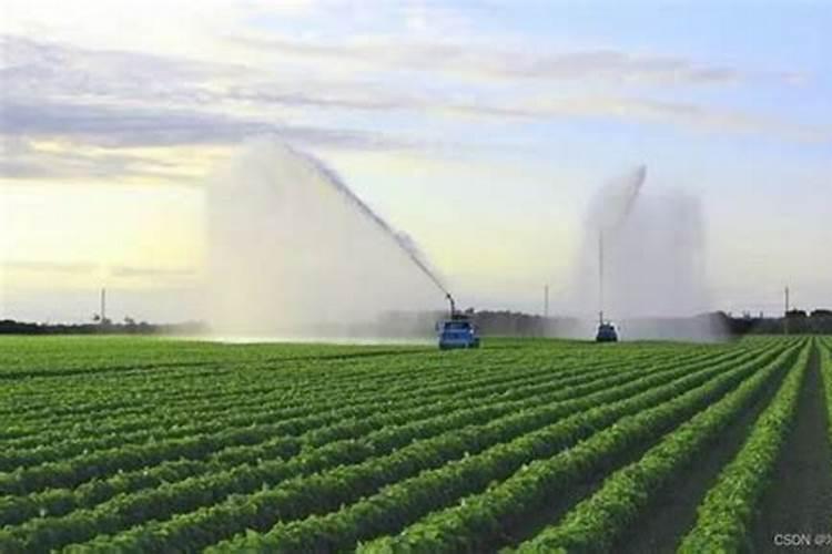 西班牙进口纳瓦罗肥料怎么样