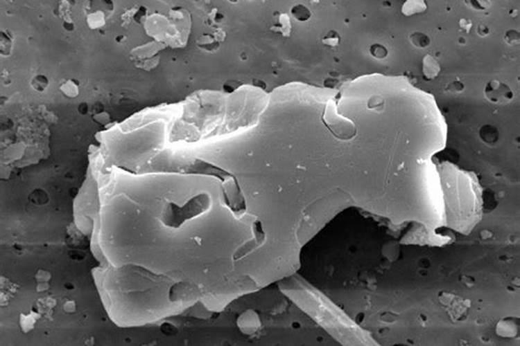 虾塘肥水用红糖一亩要多少,肥水可以用复合肥吗