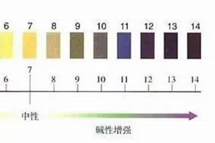 玉米常见的含磷的碱性普通肥料及水溶滴灌肥料有几种,最简介