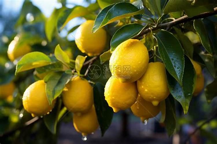 快结婚了男朋友告诉我说有狐臭 但是做了手术 我该怎么办