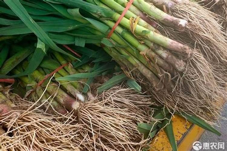 什么化学原料能把毛发融化做成氨基酸水溶肥