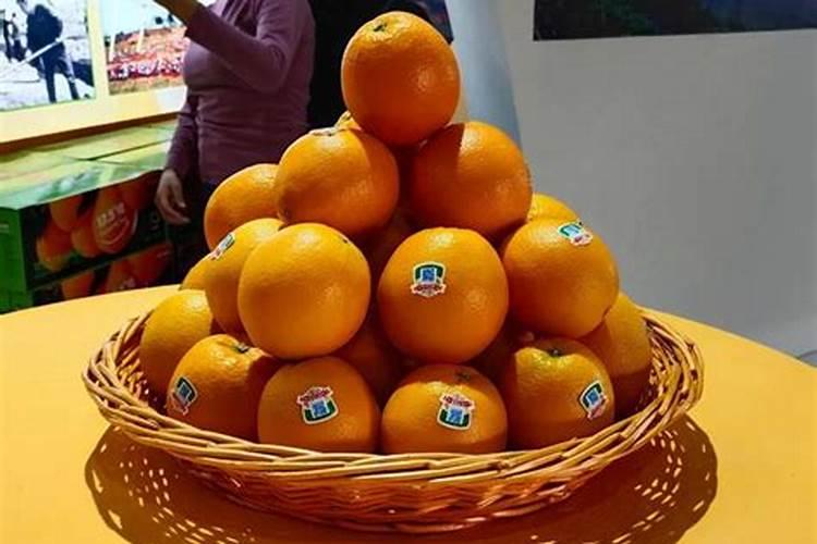 鱼蛋白肥制作方法