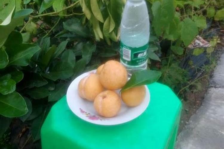 水果、蔬菜膨大素有害健康吗？