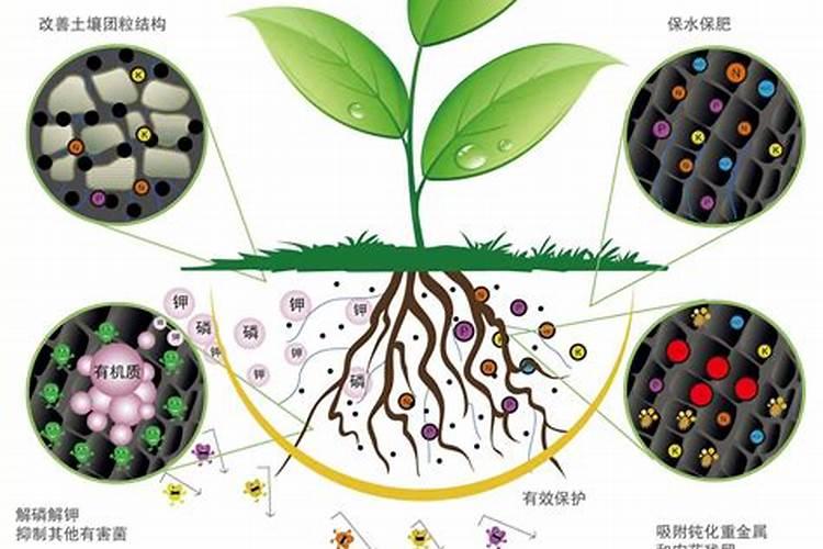 黄腐酸钾和复合肥,大微量元素水溶肥,高磷水溶肥,冲施肥混合浇施可以吗...