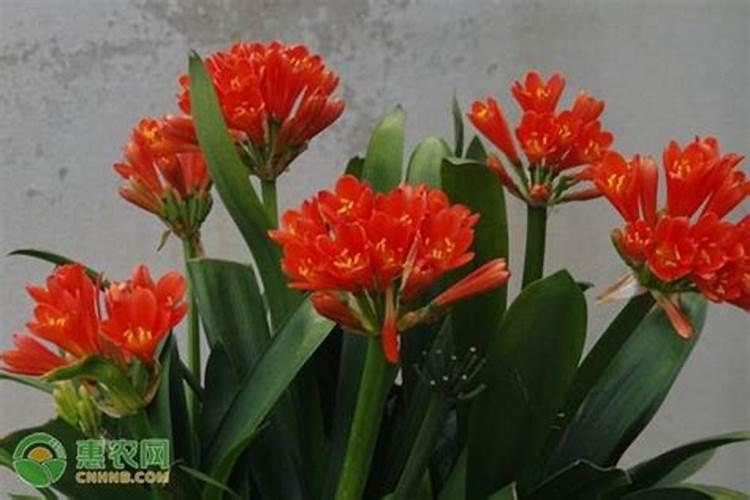 ...标出硫酸铵中氮元素的化合价,5个亚铁离子,