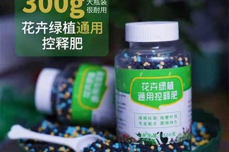 发财树肥料用缓控释肥肥料可以吗？