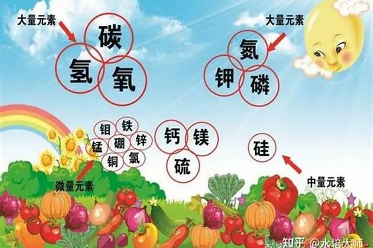水稻施硅肥应该怎么施？一亩田用多少硅肥？