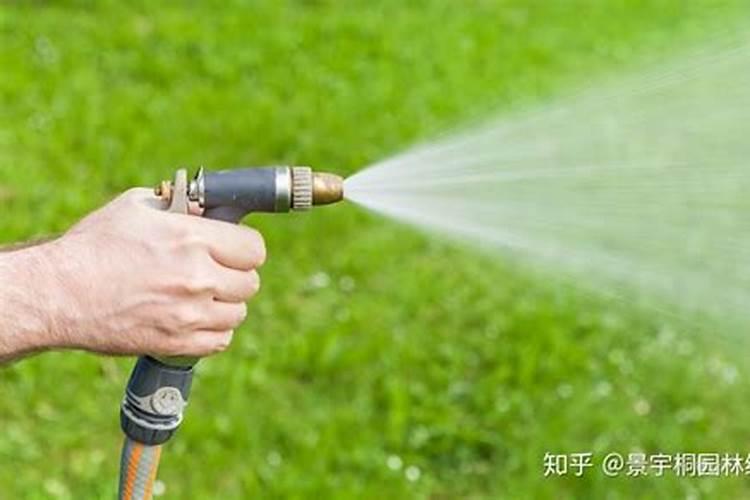 草坪多久施肥一次最好