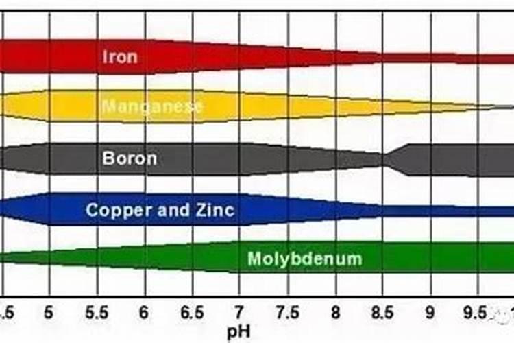 木醋液水溶肥新疆采购价格