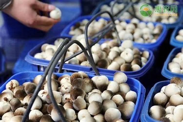 农业生物学分类,农业机械都有哪些