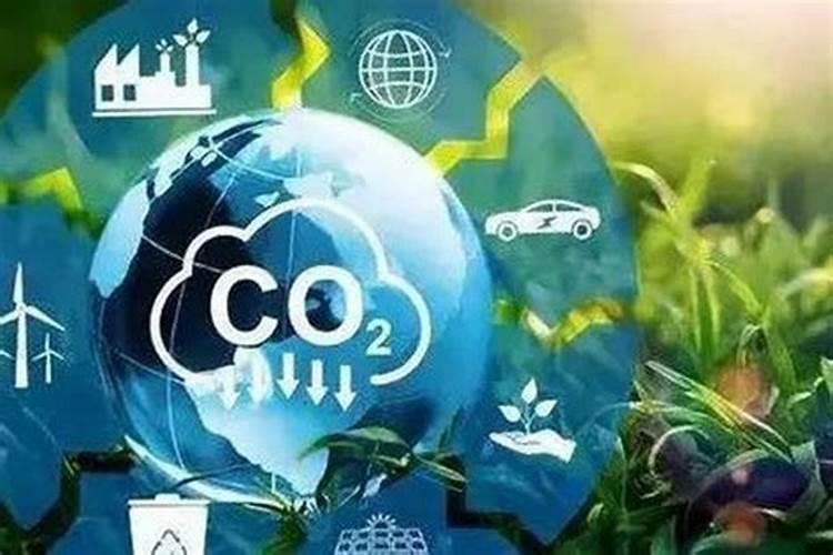 花椰菜高产栽培技术