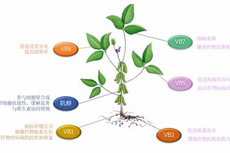 香港化肥公司旗下所有产品