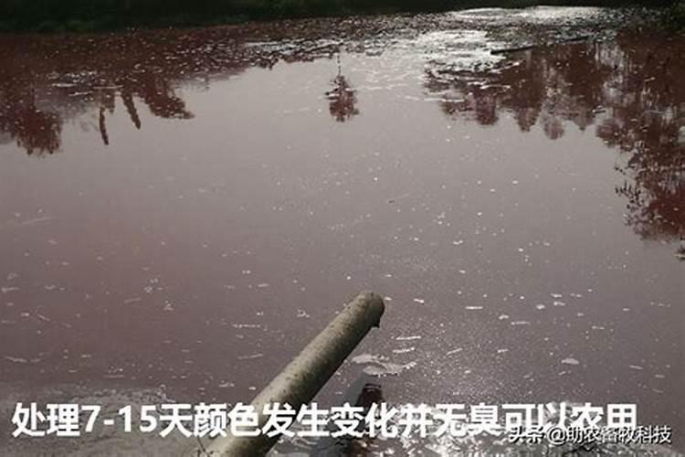 黄瓜多高打尖 黄瓜长多高打尖好