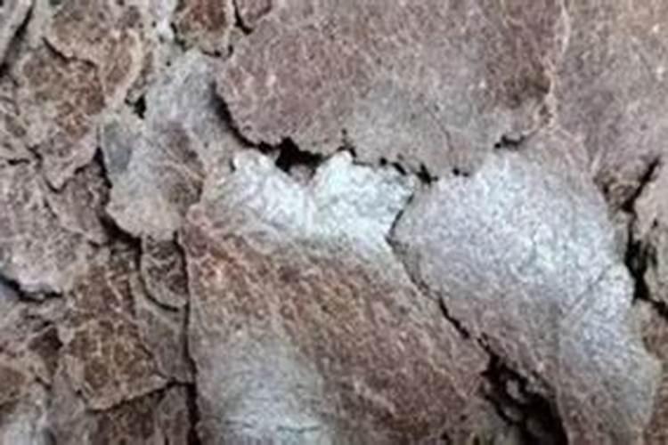 请问桐枯,菜枯,花生枯那个肥高