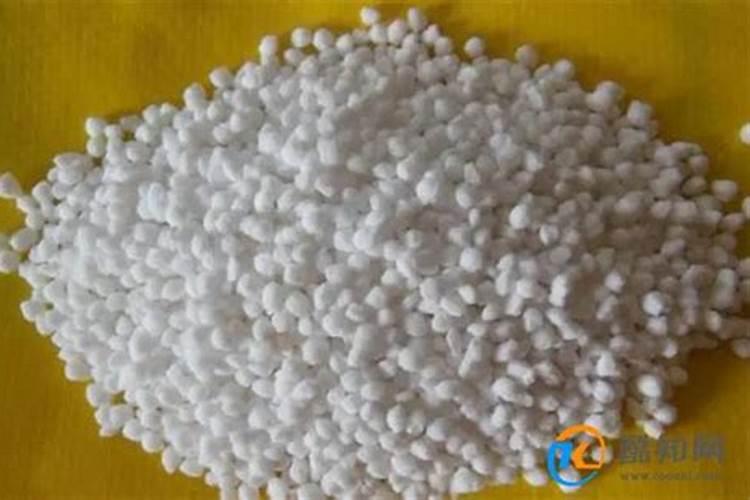 钓白鲢或花鲢用什么饲料最好