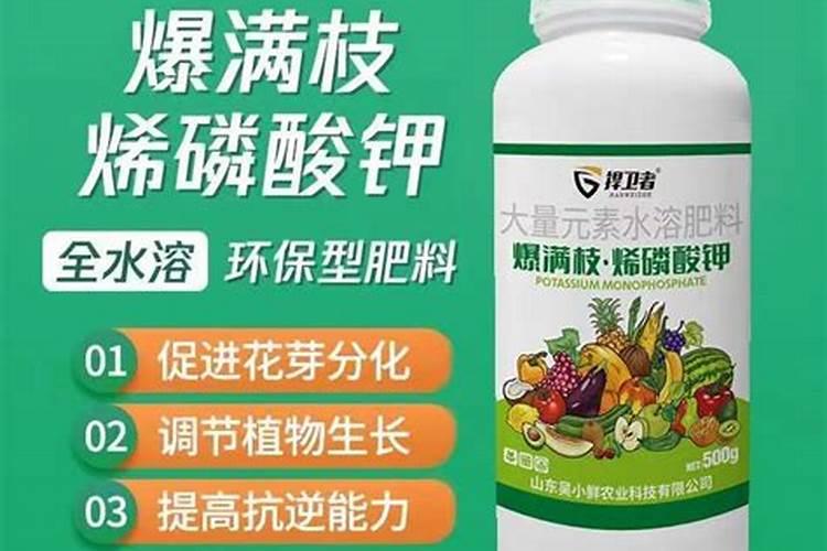 磷肥适合哪些蔬菜