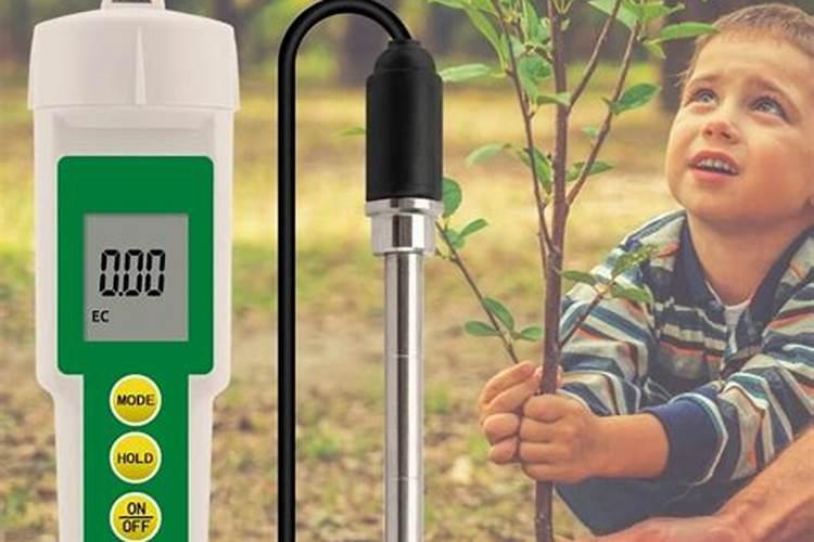 炒菜用的葱,姜,蒜是主料,还是铺料还是调味料？