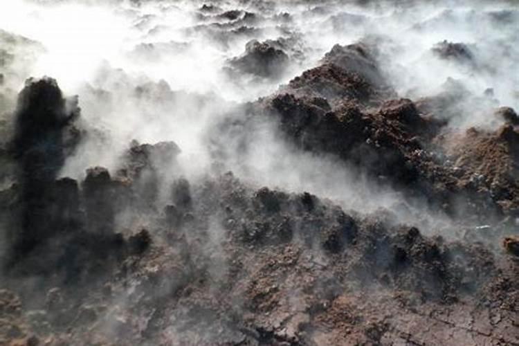 大葱最忌讳的肥料