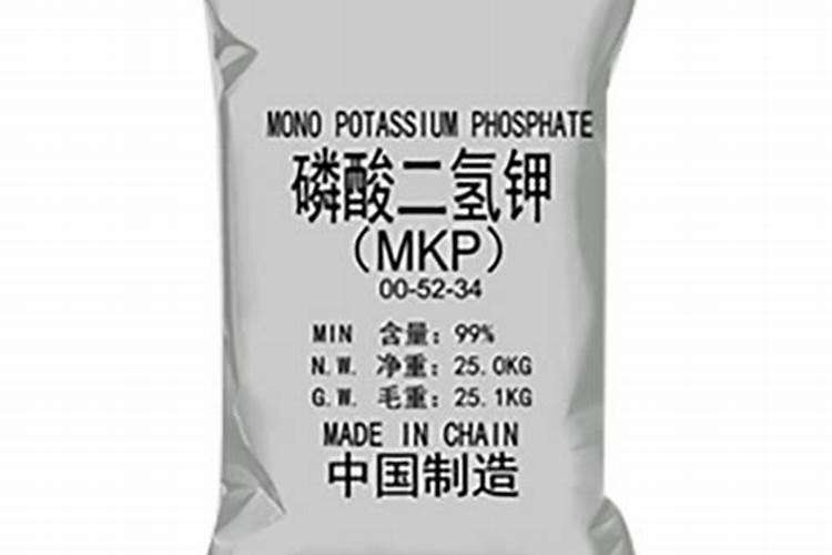 种独头蒜的方法