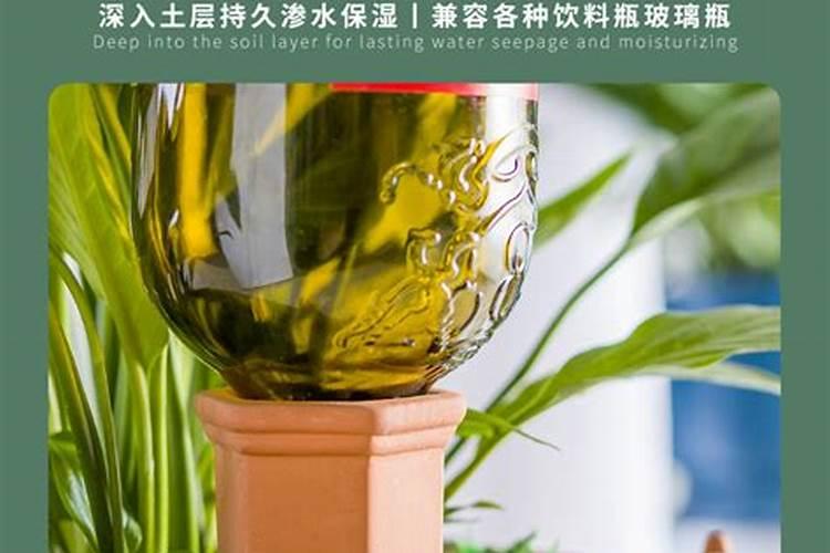 红土能种菜吗？要怎么改良